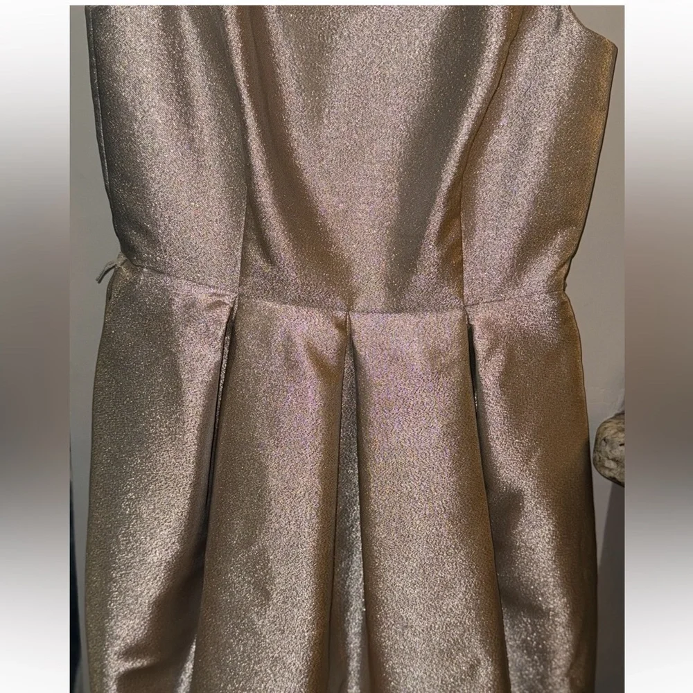 White House Black Market Champagne Glitter Cocktail Holiday NYE Dress Size 2 - Picture 12 of 15